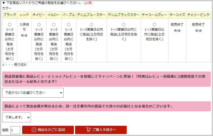 商品ページでの項目選択肢の例