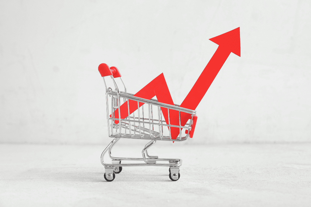 オートRPPの料金体系とサポート範囲